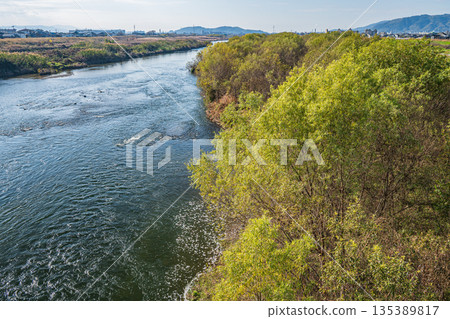 京都桂川的冬季景色 135389817