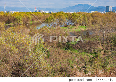 Winter scenery of the Katsura River, where it meets the Kamo River, Kyoto City Winter scenery of the Katsura River, where it meets the Kamo River, Kyoto City 135389819