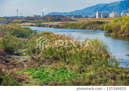 Winter scenery of the Katsura River, Kyoto City Winter scenery of the Katsura River, Kyoto City 135389820