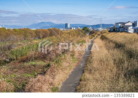 Winter scenery of the Katsura River riverbank, Kyoto City 135389821