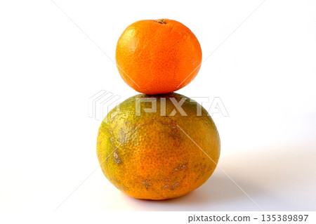 Small ripe mandarins and large green mandarins on a white background Small ripe mandarins and large green mandarins on a white background 135389897