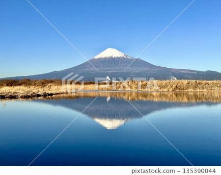 Mt. Fuji seen from the Fuji River 135390044