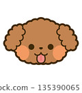 紅色玩具貴賓犬臉部圖標 135390065