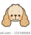 美國可卡犬臉部圖標 135390068