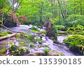 Scenery of Oirase Valley with fresh greenery and full-blooming mountain azaleas in Towada City, Aomori Prefecture 135390185