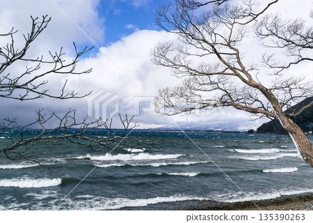 Lakeside trees and the winter lake surface of Lake Inawashiro b-2 film-like 135390263