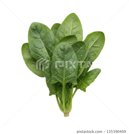 菠菜葉 菠菜葉 135390409