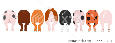 一套10種不同類型的豬屁股 135390705