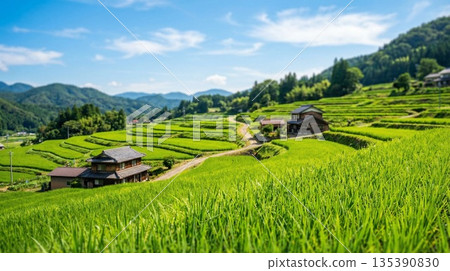 與梯田的風景 135390830