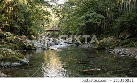 流經森林的河 135390831