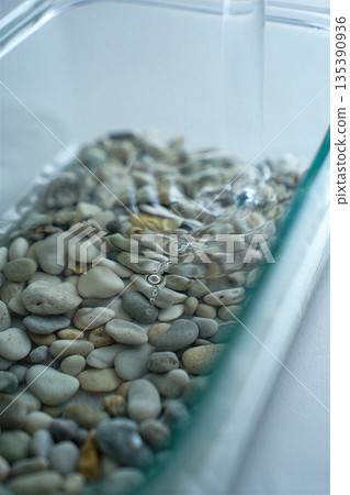 Smooth pebbles and clear water in a glass container. Smooth, multicolored pebbles are submerged in clear water within a rectangular glass container. 135390936