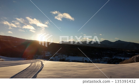 Fresh snow on the Sugadaira Plateau 135391432
