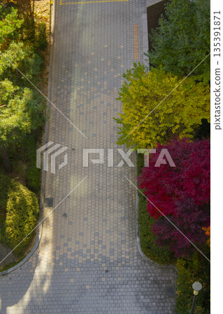 This is a top view of a road lined with red autumn trees. This is a top view of a road lined with red autumn trees. 135391871