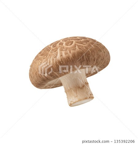 Fresh brown shiitake mushrooms 135392206