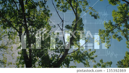 Displaying data overlay over forest canopy with bar charts line graphs gridlines and waveforms 135392869