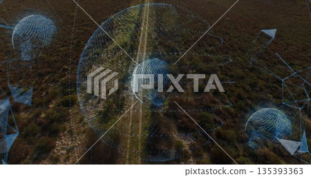 Hovering central wireframe globe above rural shrubland, with dirt track, shrubs, network arrows Hovering central wireframe globe above rural shrubland, with dirt track, shrubs, network arrows 135393363