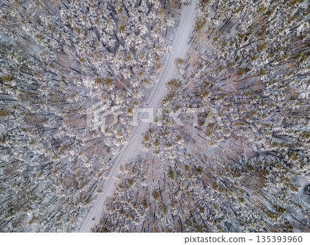 Aerial view of the road in the winter forest with high pine or spruce trees covered by snow. Driving in winter. 135393960