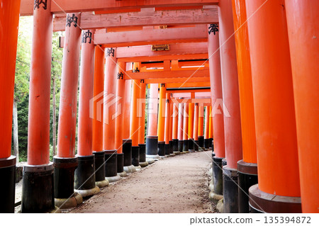 A landscape with torii A landscape with torii 135394872