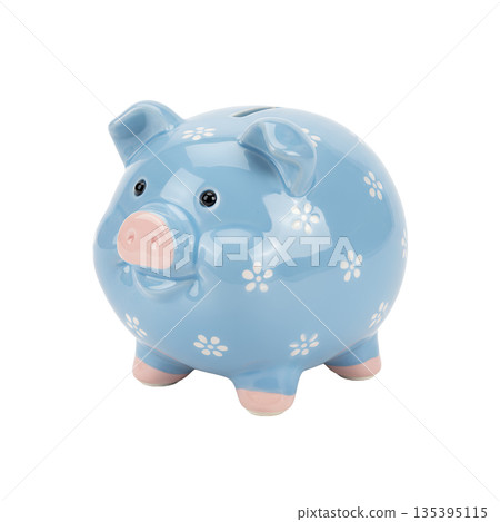 Cute blue floral piggy bank 135395115