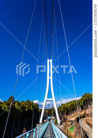 Mishima Skywalk [Mishima City, Shizuoka Prefecture] 135395679