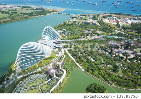 View of Singapore cityscape from the top floor of a skyscraper 135395750