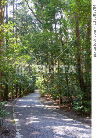 一條碎石路蜿蜒深入群山，兩側高聳入雲。 135395794