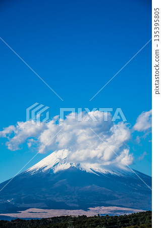 從三島空中步道眺望富士山 [靜岡縣三島市] 135395805