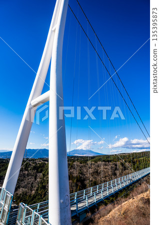 Mishima Skywalk and Mount Fuji [Mishima City, Shizuoka Prefecture] 135395873