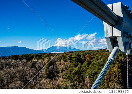 Mishima Skywalk and Mount Fuji [Mishima City, Shizuoka Prefecture] 135395875