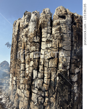 Burning stumps, traces of a forest fire Burning stumps, traces of a forest fire 135396195