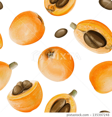 Seamless pattern of medlars. Exotic orange round fruits. Large brown seeds. Autumn harvest in the garden. Watercolor illustration. Hand-drawn. Isolated from the background. High quality illustration 135397248