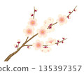 水彩風格梅花 135397357