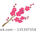 水彩風格梅花 135397358