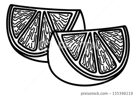Lime Wedges Citrus Fruit Illustration Lime Wedges Citrus Fruit Illustration 135398119