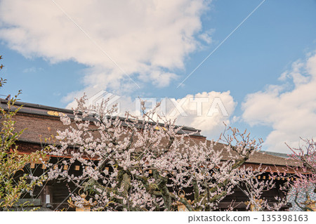 Kyoto Kitano Tenmangu Shrine Plum Garden Kyoto Kitano Tenmangu Shrine Plum Garden 135398163
