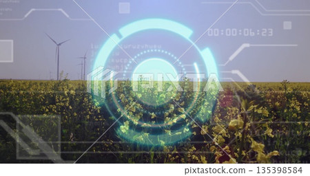 Displaying yellow-flowering plants in farmland under sunny sky with wind turbines, digital overlay Displaying yellow-flowering plants in farmland under sunny sky with wind turbines, digital overlay 135398584