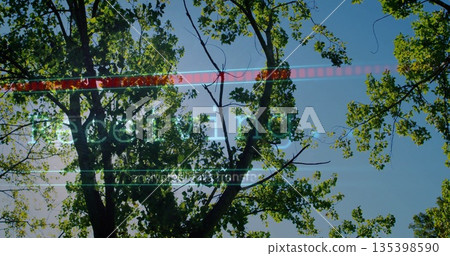 Reaching branches in woods, with red scan bar, green Decoding, white lines, transmission, sun flare Reaching branches in woods, with red scan bar, green Decoding, white lines, transmission, sun flare 135398590