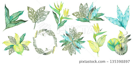 Collection of watercolor tropical leaves in green, teal and yellow tones. Versatile botanical set ideal for branding, invitations, packaging, stickers, patterns and creative design projects. 135398897