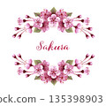 Symmetrical frame of pink sakura 135398903