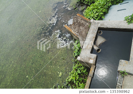 paddy, paddy field, rice field 135398962
