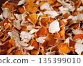 Photo of drying mandarin peels. 135399010