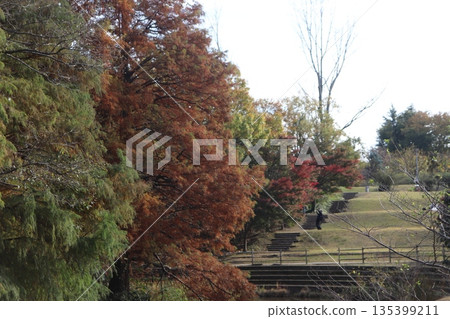 Stairs covered with autumn leaves 135399211