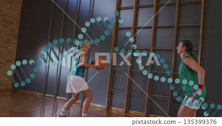 Dribbling athlete in jersey bouncing orange basketball on gymnasium court, wall bars, DNA overlay 135399376