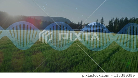 Superimposing translucent blue DNA double helix across sunlit meadow, with conifer forest backdrop Superimposing translucent blue DNA double helix across sunlit meadow, with conifer forest backdrop 135399399