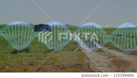 Overlaying transparent blue double helix graphic across rural grassland with two-track dirt road Overlaying transparent blue double helix graphic across rural grassland with two-track dirt road 135399408