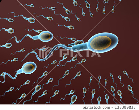 Microscopic view of human sperm cells 135399835