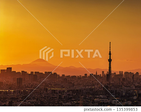 Skytree and Mount Fuji in the sunset 135399853