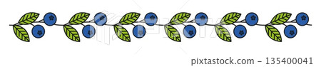 Garden blueberry plant leaves line divider or separator. Wild fruit thin line divider, ripe farm blueberry linear vector frame border. Forest berry outline separator line or underline spacer 135400041