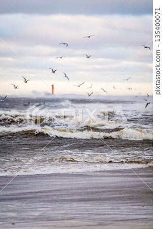 Stormy sea with strong waves crashing under a dramatic cloudy sky. A red navigation beacon stands in the distance while seabirds fly above the rough water. Windy coastal landscape 135400071