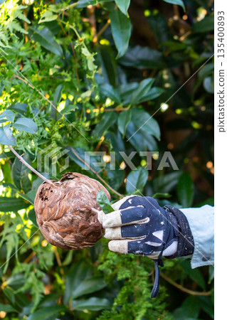 Garden maintenance, gardener, beehive Garden maintenance, gardener, beehive 135400893